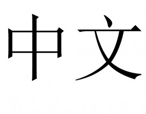 Китайский язык (hànyǔ)